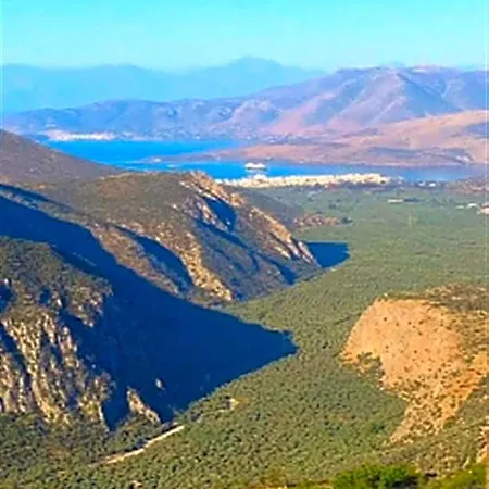 Pan